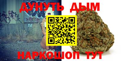 прущие грибы Заводоуковск