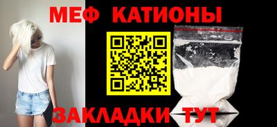 прущие грибы Заводоуковск