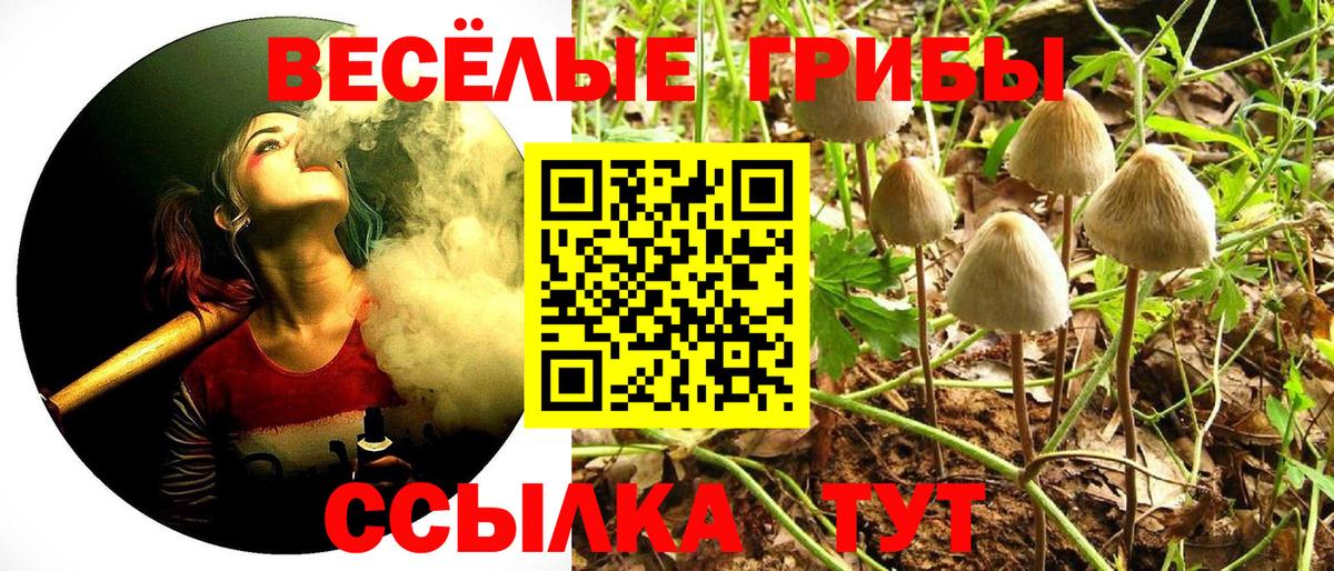 Галлюциногенные грибы мицелий Бирск